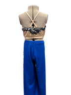 Crop Top & Pants Dance Costume