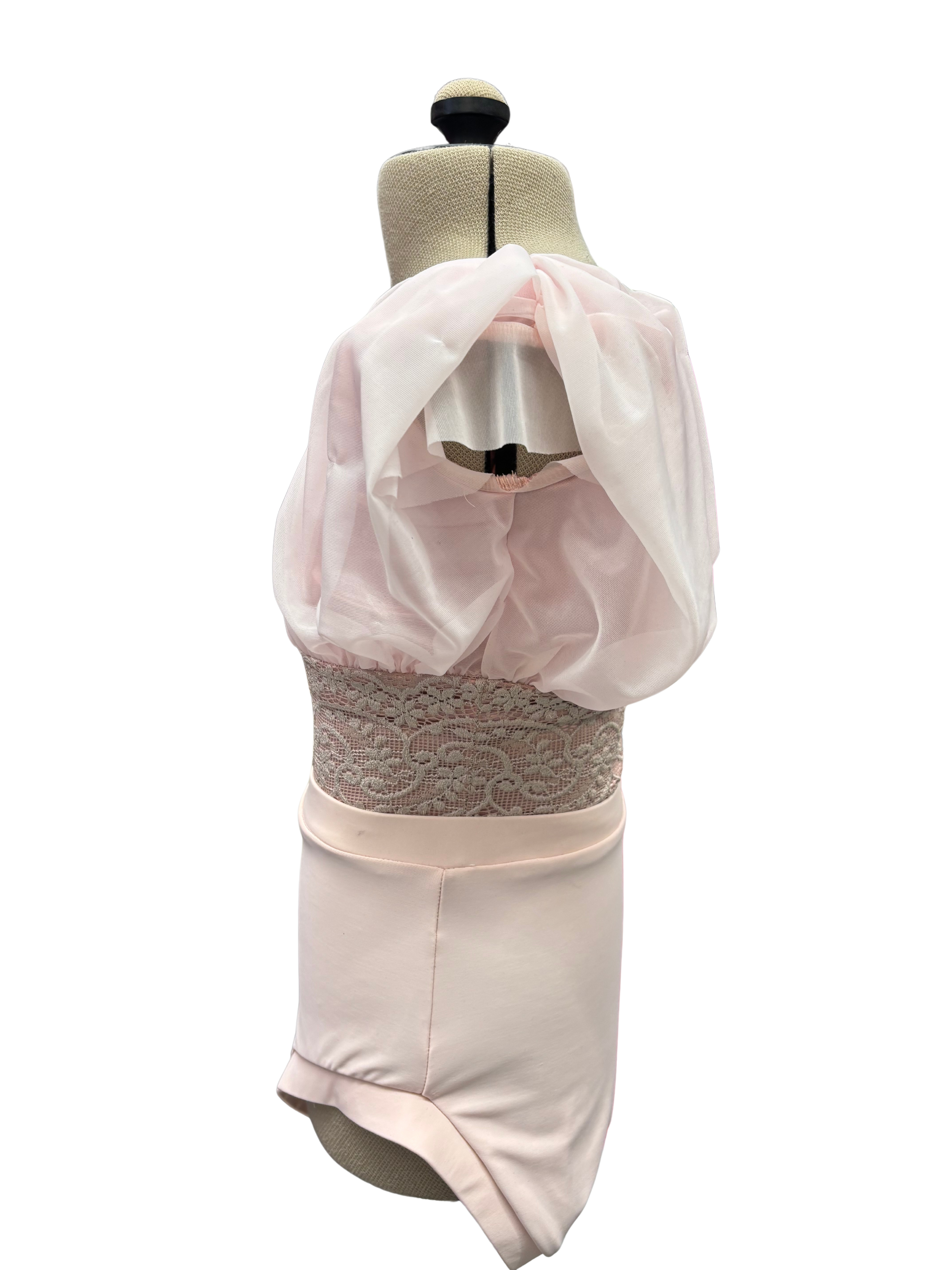 Pink Bodysuit Dance Costume