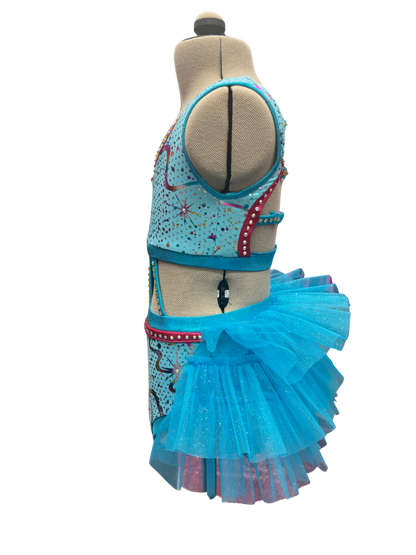 Glitter Velvet Dance Costume w/ Feather Skirt