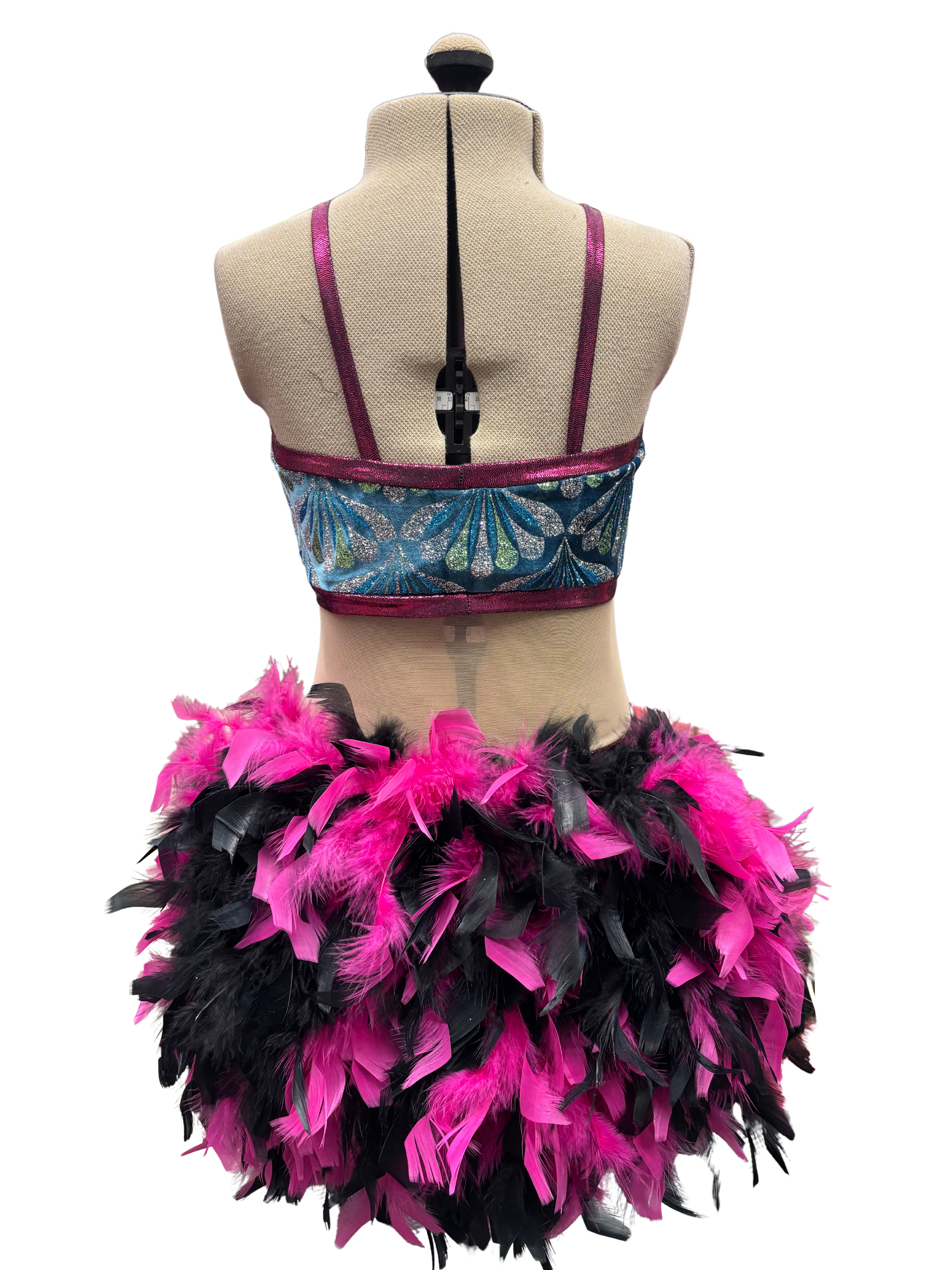 Glitter Velvet Dance Costume w/Feather Skirt