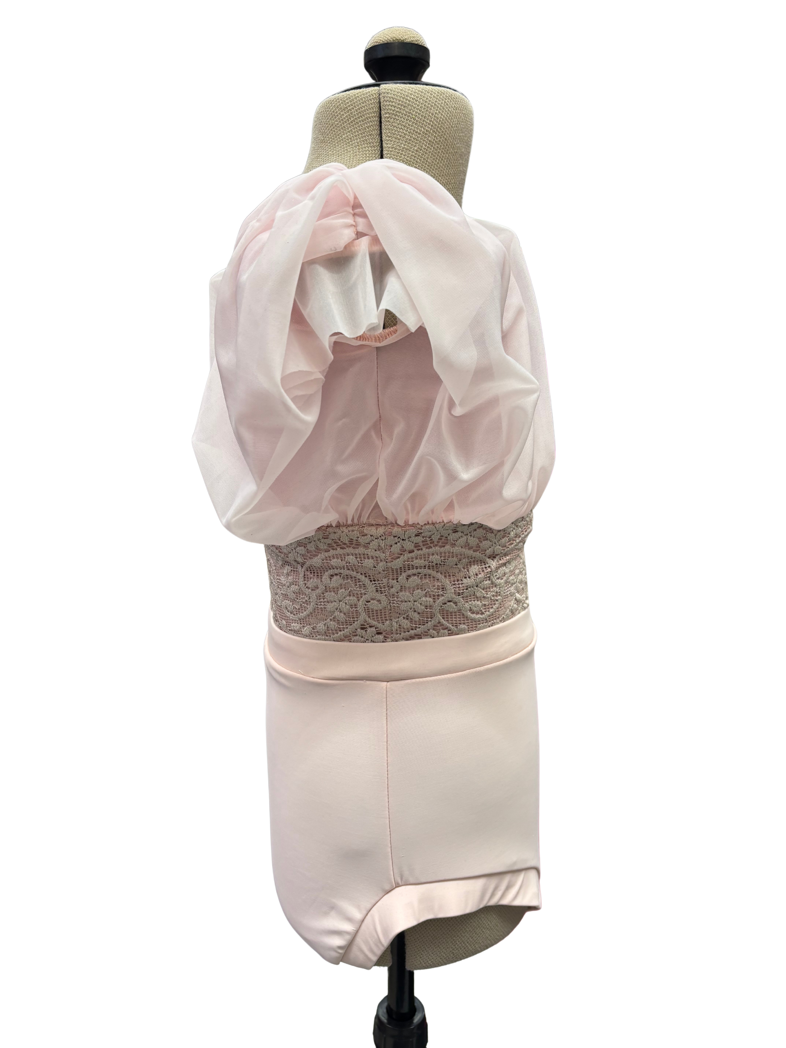 Pink Bodysuit Dance Costume