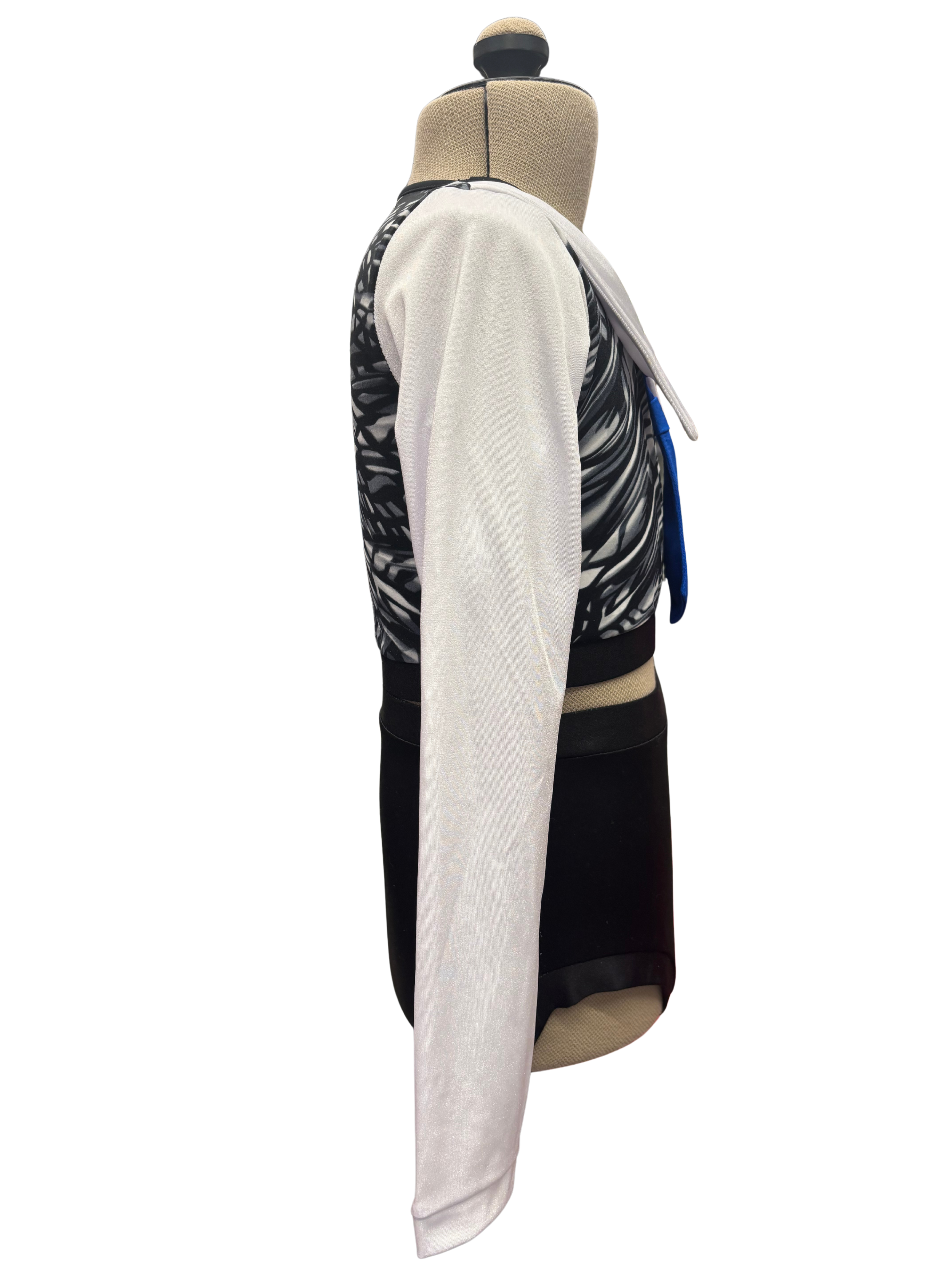Long Sleeve Crop Top Dance Costume