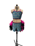 Glitter Velvet Dance Costume w/Feather Skirt