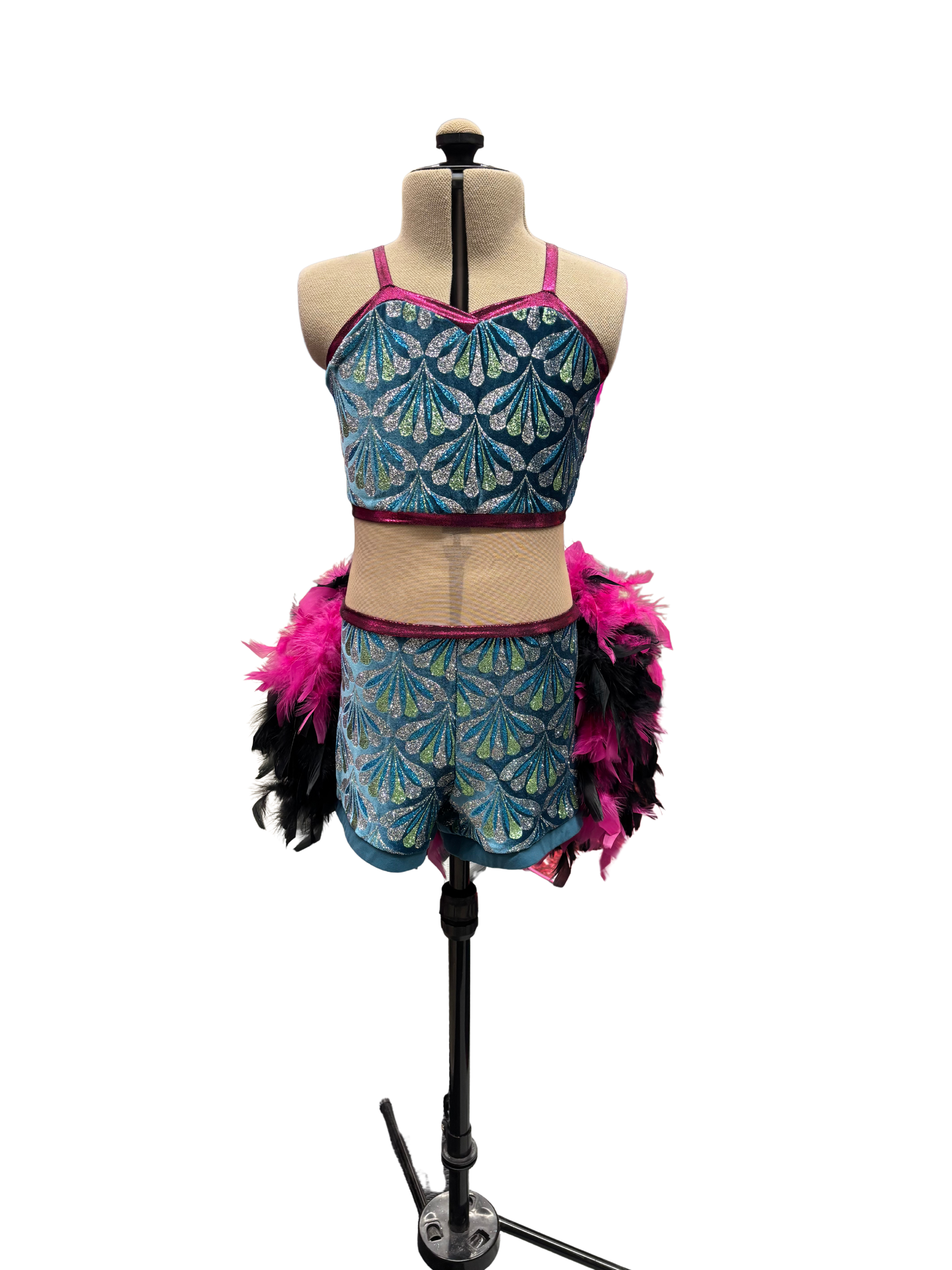 Glitter Velvet Dance Costume w/Feather Skirt