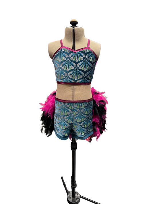Glitter Velvet Dance Costume w/Feather Skirt