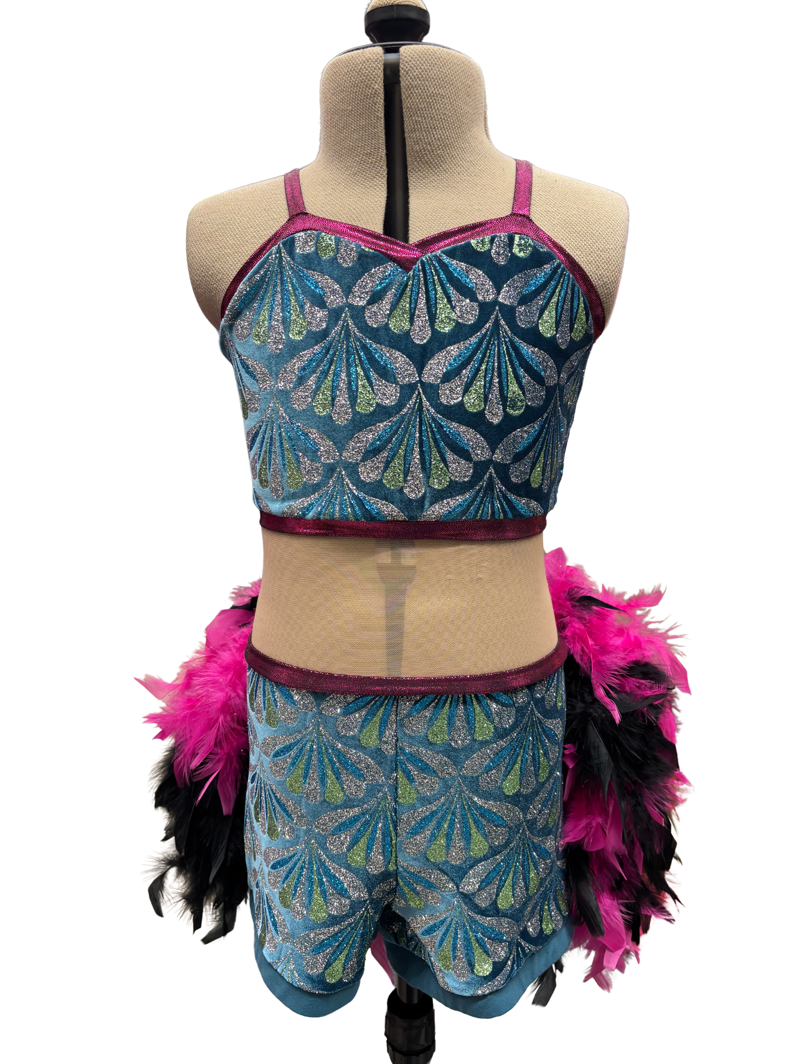 Glitter Velvet Dance Costume w/Feather Skirt
