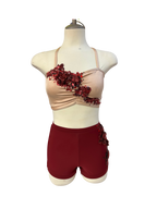 Crop Top Dance Costume