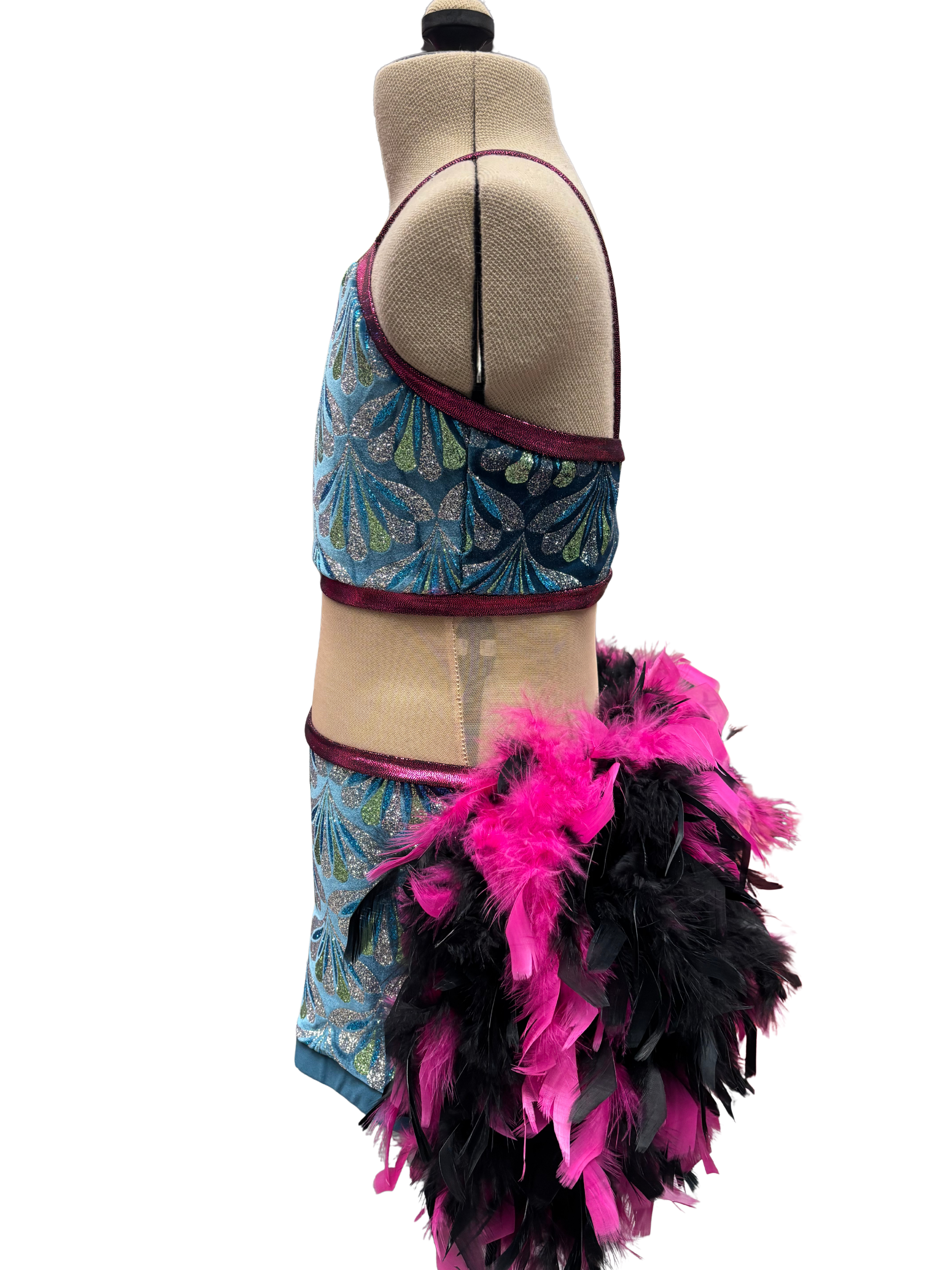Glitter Velvet Dance Costume w/Feather Skirt