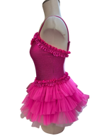 Pink Dance Costume Tutu