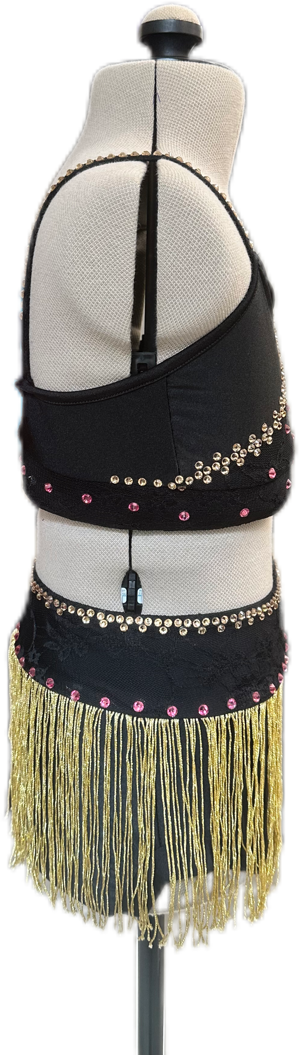 Black & Gold Crop Top & Brief with Fringe Skirt