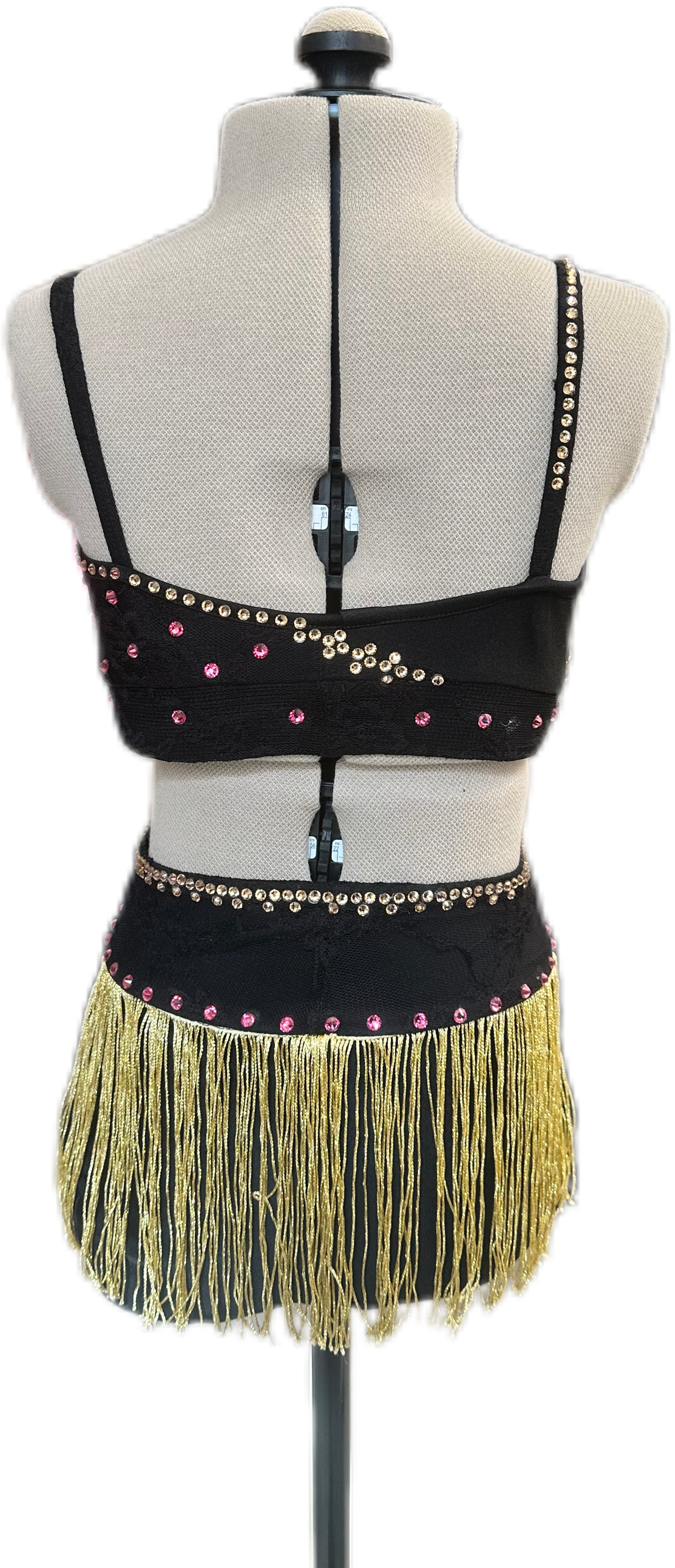 Black & Gold Crop Top & Brief with Fringe Skirt