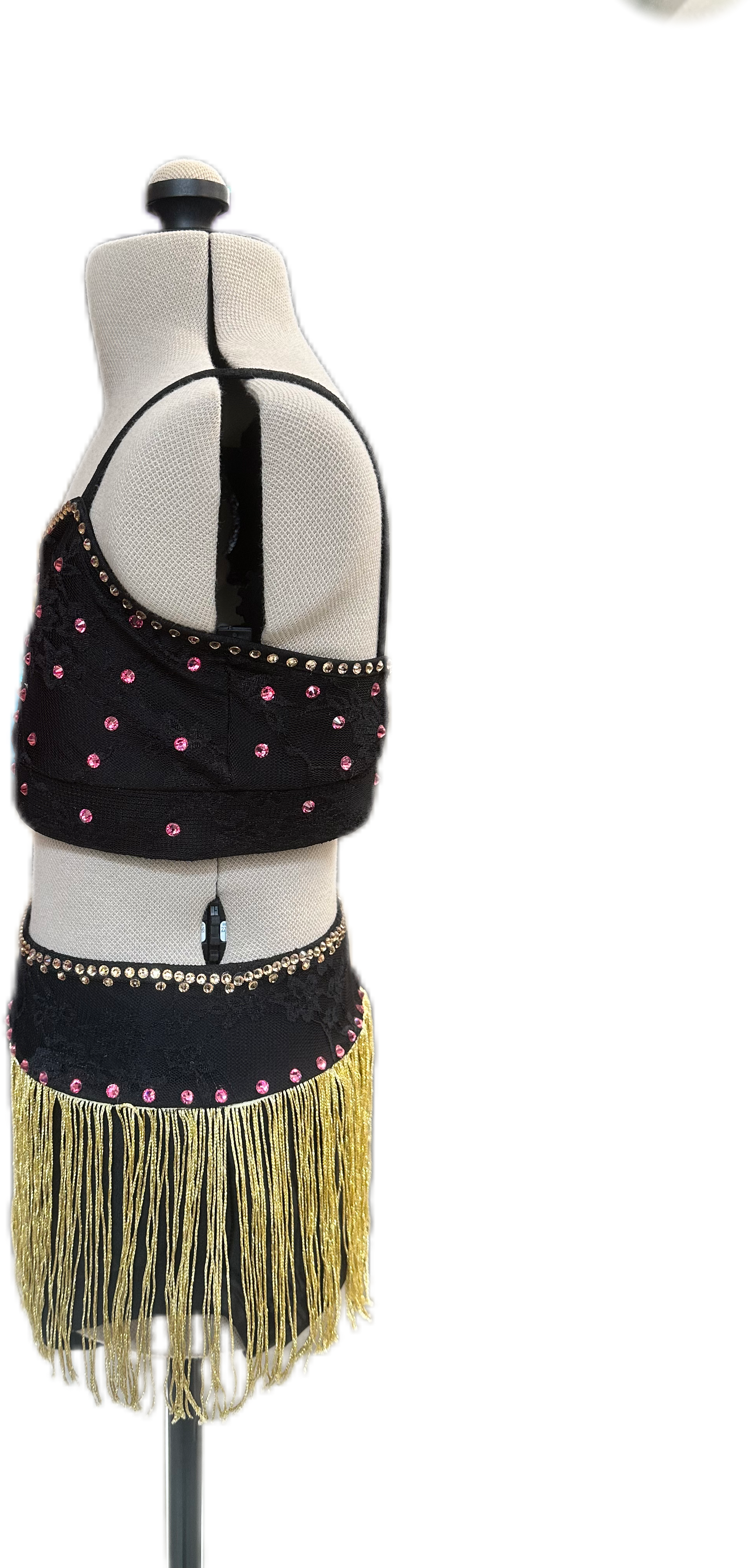 Black & Gold Crop Top & Brief with Fringe Skirt