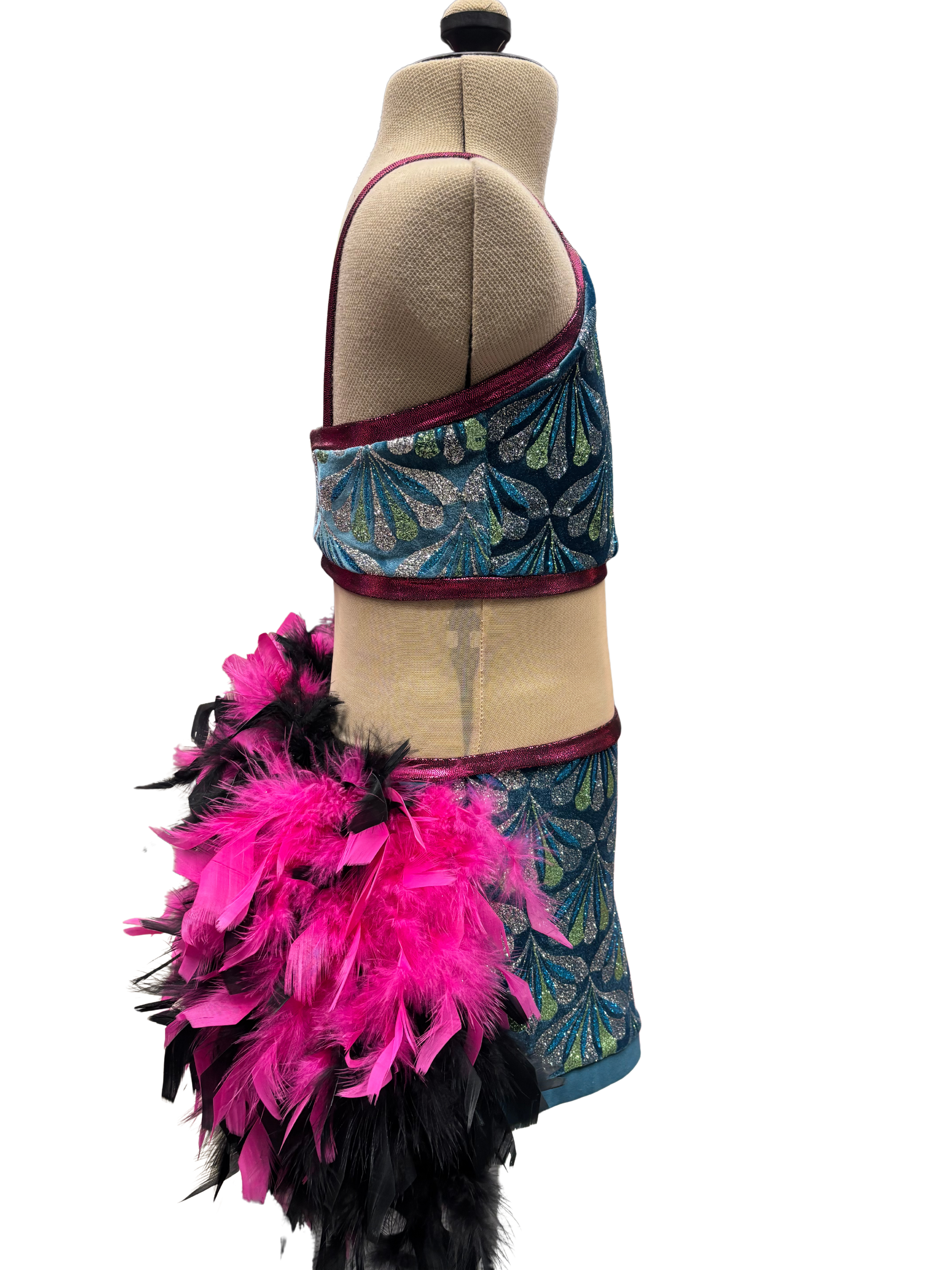 Glitter Velvet Dance Costume w/Feather Skirt